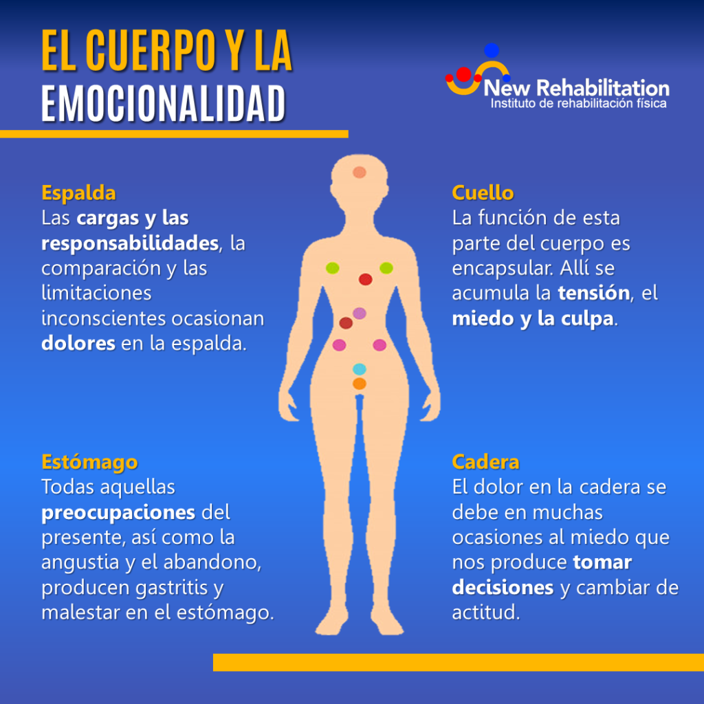 Muchos de los dolores de espalda articulares y musculares son producto del mal funcionamiento de nuestros órganos y vísceras